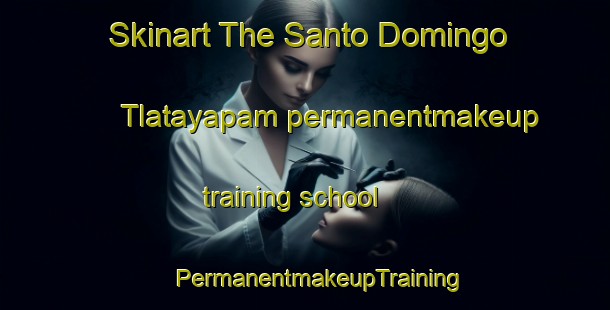 Skinart The Santo Domingo Tlatayapam permanentmakeup training school | #PermanentmakeupTraining #PermanentmakeupClasses #SkinartTraining-Mexico