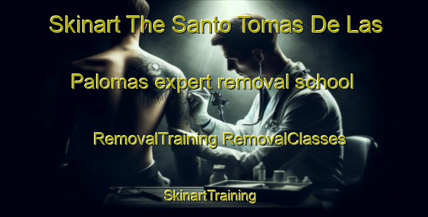 Skinart The Santo Tomas De Las Palomas expert removal school | #RemovalTraining #RemovalClasses #SkinartTraining-Mexico