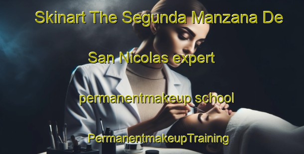 Skinart The Segunda Manzana De San Nicolas expert permanentmakeup school | #PermanentmakeupTraining #PermanentmakeupClasses #SkinartTraining-Mexico