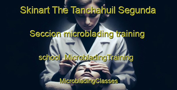 Skinart The Tanchahuil Segunda Seccion microblading training school | #MicrobladingTraining #MicrobladingClasses #SkinartTraining-Mexico