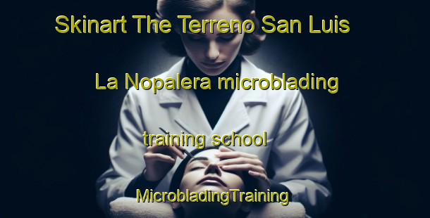 Skinart The Terreno San Luis  La Nopalera microblading training school | #MicrobladingTraining #MicrobladingClasses #SkinartTraining-Mexico