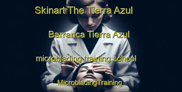 Skinart The Tierra Azul  Barranca Tierra Azul microblading training school | #MicrobladingTraining #MicrobladingClasses #SkinartTraining-Mexico