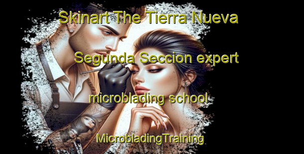 Skinart The Tierra Nueva Segunda Seccion expert microblading school | #MicrobladingTraining #MicrobladingClasses #SkinartTraining-Mexico