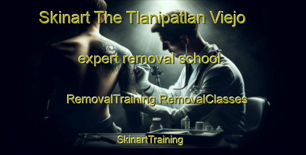 Skinart The Tlanipatlan Viejo expert removal school | #RemovalTraining #RemovalClasses #SkinartTraining-Mexico