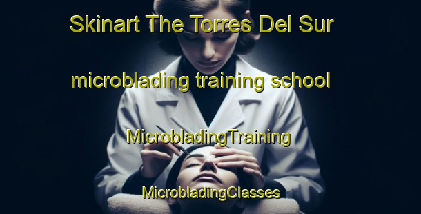 Skinart The Torres Del Sur microblading training school | #MicrobladingTraining #MicrobladingClasses #SkinartTraining-Mexico