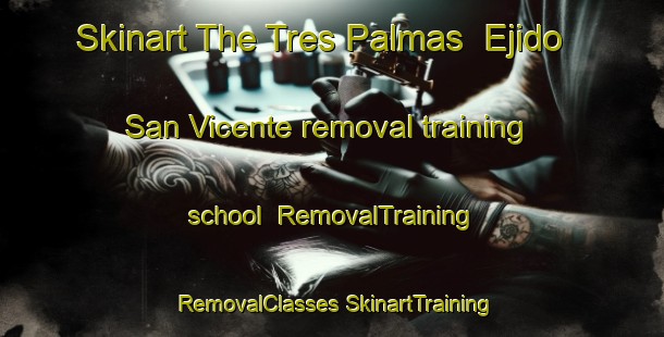 Skinart The Tres Palmas  Ejido San Vicente removal training school | #RemovalTraining #RemovalClasses #SkinartTraining-Mexico