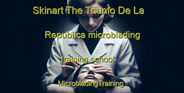 Skinart The Triunfo De La Republica microblading training school | #MicrobladingTraining #MicrobladingClasses #SkinartTraining-Mexico