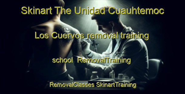 Skinart The Unidad Cuauhtemoc  Los Cuervos removal training school | #RemovalTraining #RemovalClasses #SkinartTraining-Mexico