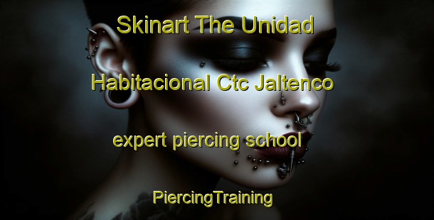 Skinart The Unidad Habitacional Ctc Jaltenco expert piercing school | #PiercingTraining #PiercingClasses #SkinartTraining-Mexico