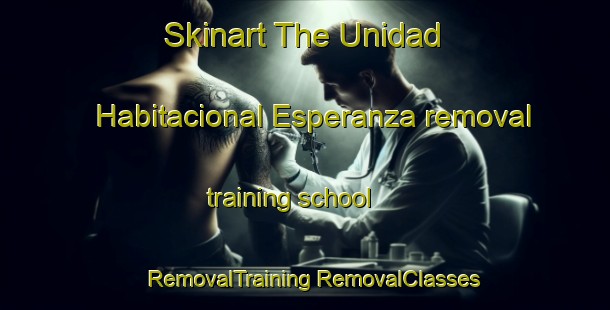 Skinart The Unidad Habitacional Esperanza removal training school | #RemovalTraining #RemovalClasses #SkinartTraining-Mexico