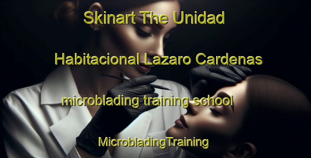 Skinart The Unidad Habitacional Lazaro Cardenas microblading training school | #MicrobladingTraining #MicrobladingClasses #SkinartTraining-Mexico