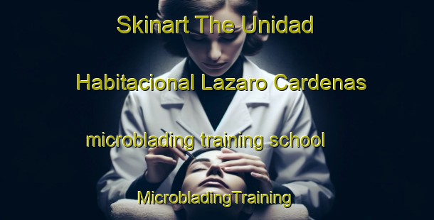 Skinart The Unidad Habitacional Lazaro Cardenas microblading training school | #MicrobladingTraining #MicrobladingClasses #SkinartTraining-Mexico