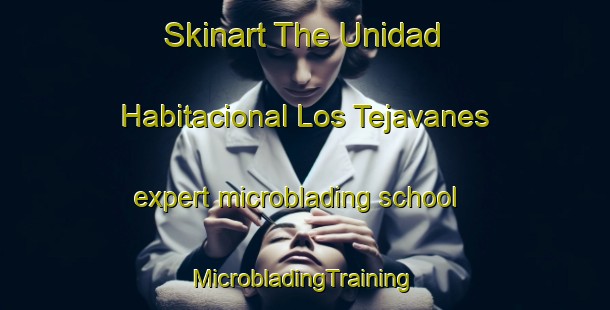 Skinart The Unidad Habitacional Los Tejavanes expert microblading school | #MicrobladingTraining #MicrobladingClasses #SkinartTraining-Mexico