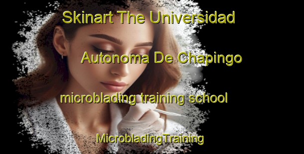 Skinart The Universidad Autonoma De Chapingo microblading training school | #MicrobladingTraining #MicrobladingClasses #SkinartTraining-Mexico