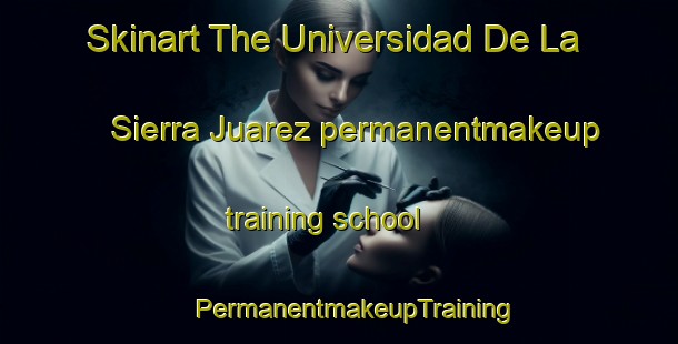 Skinart The Universidad De La Sierra Juarez permanentmakeup training school | #PermanentmakeupTraining #PermanentmakeupClasses #SkinartTraining-Mexico