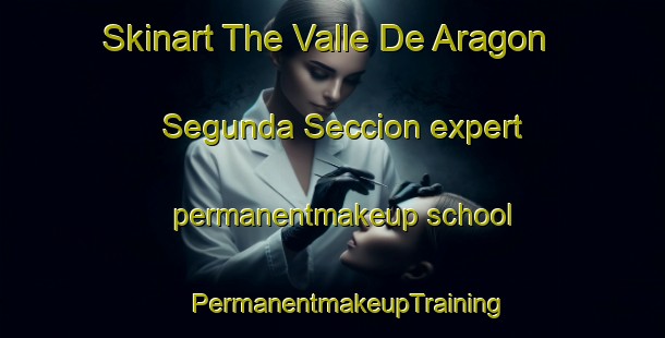 Skinart The Valle De Aragon Segunda Seccion expert permanentmakeup school | #PermanentmakeupTraining #PermanentmakeupClasses #SkinartTraining-Mexico