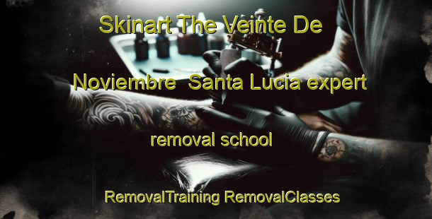 Skinart The Veinte De Noviembre  Santa Lucia expert removal school | #RemovalTraining #RemovalClasses #SkinartTraining-Mexico