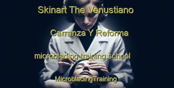 Skinart The Venustiano Carranza Y Reforma microblading training school | #MicrobladingTraining #MicrobladingClasses #SkinartTraining-Mexico