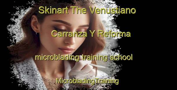 Skinart The Venustiano Carranza Y Reforma microblading training school | #MicrobladingTraining #MicrobladingClasses #SkinartTraining-Mexico