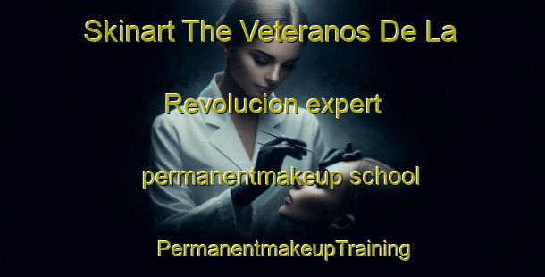 Skinart The Veteranos De La Revolucion expert permanentmakeup school | #PermanentmakeupTraining #PermanentmakeupClasses #SkinartTraining-Mexico