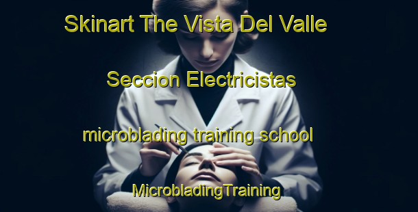 Skinart The Vista Del Valle Seccion Electricistas microblading training school | #MicrobladingTraining #MicrobladingClasses #SkinartTraining-Mexico