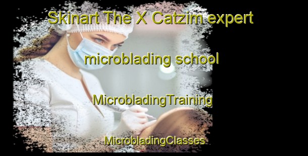 Skinart The X Catzim expert microblading school | #MicrobladingTraining #MicrobladingClasses #SkinartTraining-Mexico