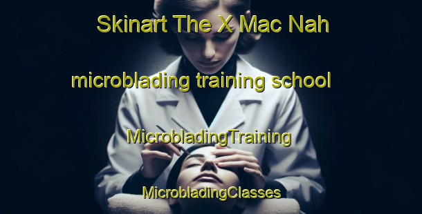 Skinart The X Mac Nah microblading training school | #MicrobladingTraining #MicrobladingClasses #SkinartTraining-Mexico