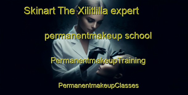 Skinart The Xilitlilla expert permanentmakeup school | #PermanentmakeupTraining #PermanentmakeupClasses #SkinartTraining-Mexico