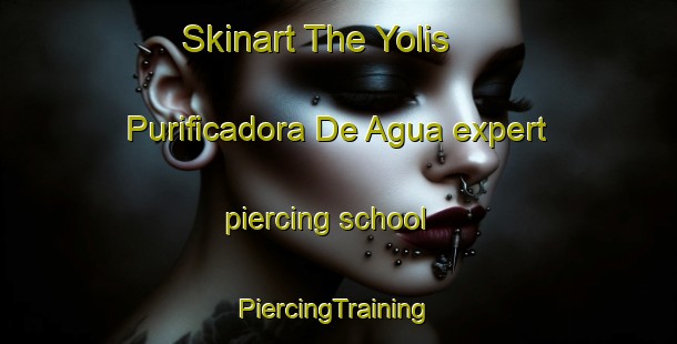 Skinart The Yolis  Purificadora De Agua expert piercing school | #PiercingTraining #PiercingClasses #SkinartTraining-Mexico