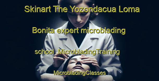 Skinart The Yozondacua Loma Bonita expert microblading school | #MicrobladingTraining #MicrobladingClasses #SkinartTraining-Mexico