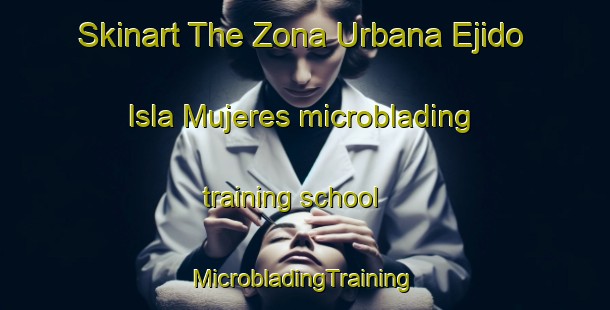 Skinart The Zona Urbana Ejido Isla Mujeres microblading training school | #MicrobladingTraining #MicrobladingClasses #SkinartTraining-Mexico