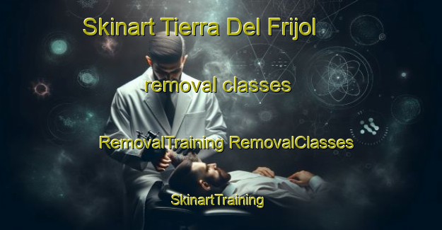 Skinart Tierra Del Frijol removal classes | #RemovalTraining #RemovalClasses #SkinartTraining-Mexico