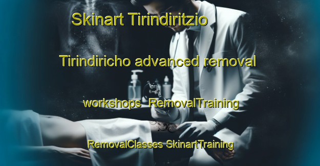 Skinart Tirindiritzio  Tirindiricho advanced removal workshops | #RemovalTraining #RemovalClasses #SkinartTraining-Mexico