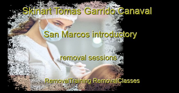 Skinart Tomas Garrido Canaval  San Marcos introductory removal sessions | #RemovalTraining #RemovalClasses #SkinartTraining-Mexico