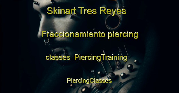 Skinart Tres Reyes  Fraccionamiento piercing classes | #PiercingTraining #PiercingClasses #SkinartTraining-Mexico