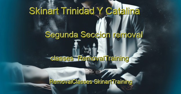 Skinart Trinidad Y Catalina Segunda Seccion removal classes | #RemovalTraining #RemovalClasses #SkinartTraining-Mexico