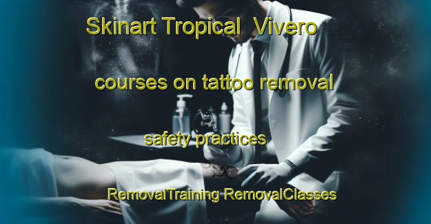 Skinart Tropical  Vivero courses on tattoo removal safety practices | #RemovalTraining #RemovalClasses #SkinartTraining-Mexico