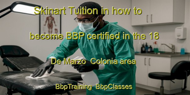 Skinart Tuition in how to become BBP certified in the 18 De Marzo  Colonia area | BbpTraining | BbpClasses | SkinartTraining-Mexico