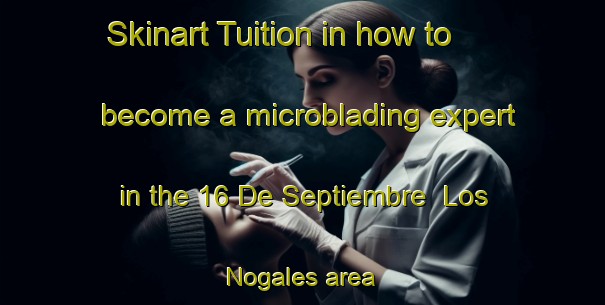 Skinart Tuition in how to become a microblading expert in the 16 De Septiembre  Los Nogales area | MicrobladingTraining | MicrobladingClasses | SkinartTraining-Mexico