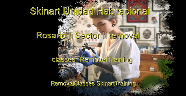 Skinart Unidad Habitacional Rosario Ii Sector Ii removal classes | #RemovalTraining #RemovalClasses #SkinartTraining-Mexico