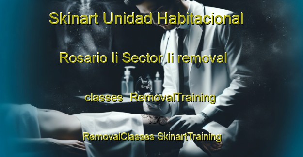 Skinart Unidad Habitacional Rosario Ii Sector Ii removal classes | #RemovalTraining #RemovalClasses #SkinartTraining-Mexico