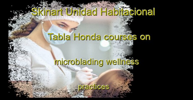 Skinart Unidad Habitacional Tabla Honda courses on microblading wellness practices | #MicrobladingTraining #MicrobladingClasses #SkinartTraining-Mexico