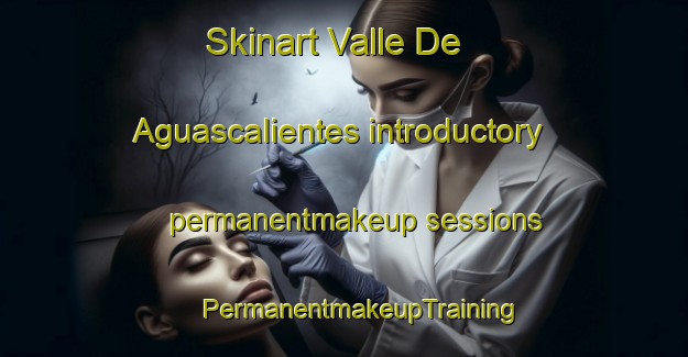 Skinart Valle De Aguascalientes introductory permanentmakeup sessions | #PermanentmakeupTraining #PermanentmakeupClasses #SkinartTraining-Mexico