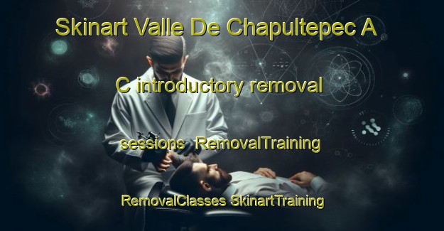 Skinart Valle De Chapultepec A C introductory removal sessions | #RemovalTraining #RemovalClasses #SkinartTraining-Mexico