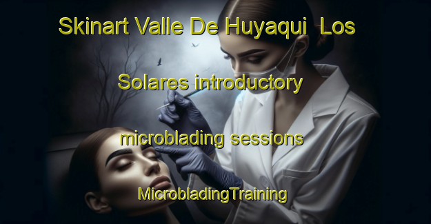 Skinart Valle De Huyaqui  Los Solares introductory microblading sessions | #MicrobladingTraining #MicrobladingClasses #SkinartTraining-Mexico