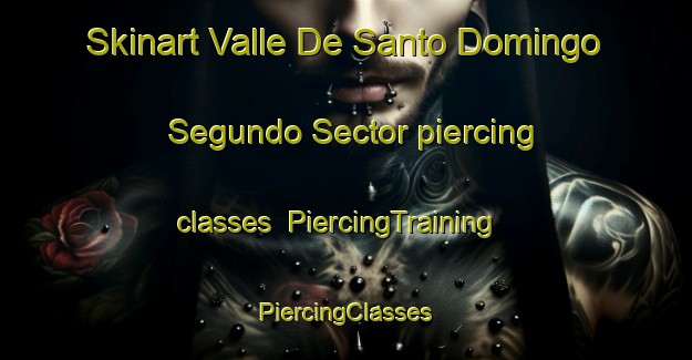 Skinart Valle De Santo Domingo Segundo Sector piercing classes | #PiercingTraining #PiercingClasses #SkinartTraining-Mexico