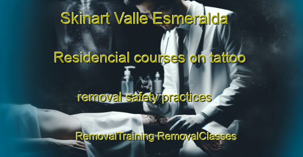 Skinart Valle Esmeralda  Residencial courses on tattoo removal safety practices | #RemovalTraining #RemovalClasses #SkinartTraining-Mexico