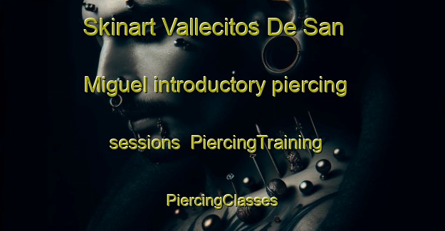 Skinart Vallecitos De San Miguel introductory piercing sessions | #PiercingTraining #PiercingClasses #SkinartTraining-Mexico