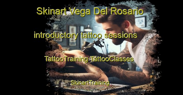 Skinart Vega Del Rosario introductory tattoo sessions | #TattooTraining #TattooClasses #SkinartTraining-Mexico