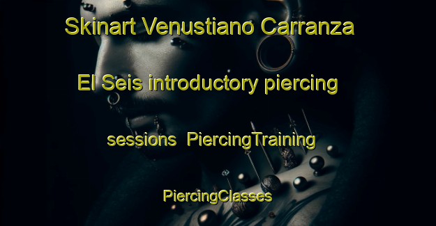 Skinart Venustiano Carranza  El Seis introductory piercing sessions | #PiercingTraining #PiercingClasses #SkinartTraining-Mexico